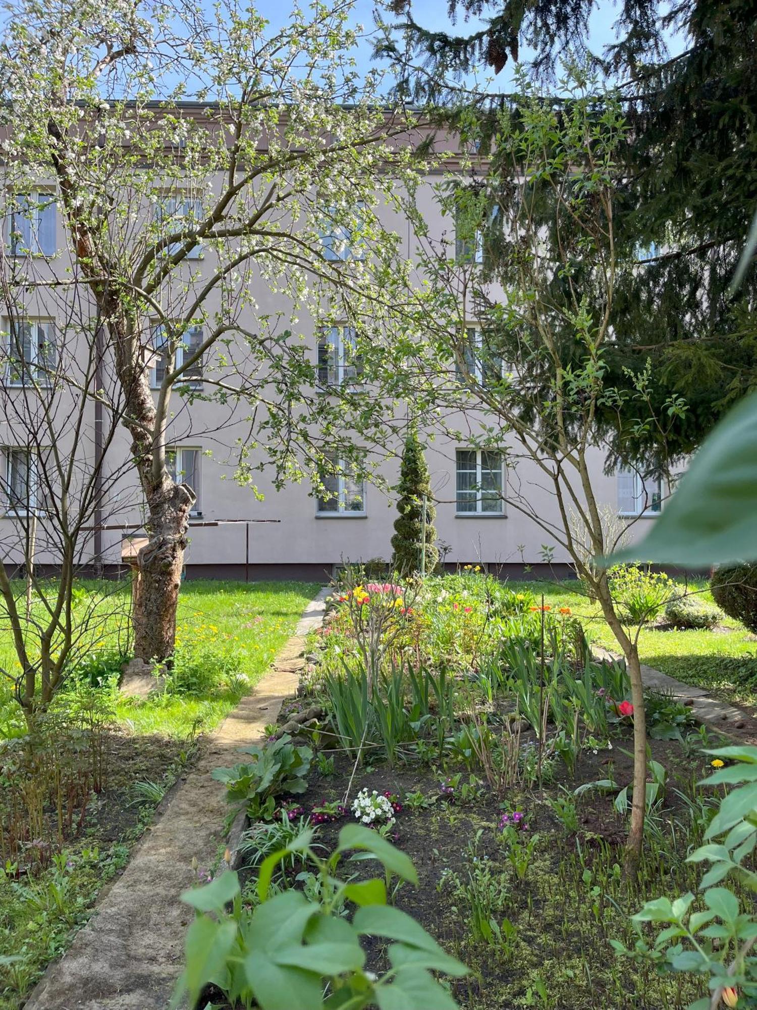 Greenthumb Praska Krakau Exterior foto