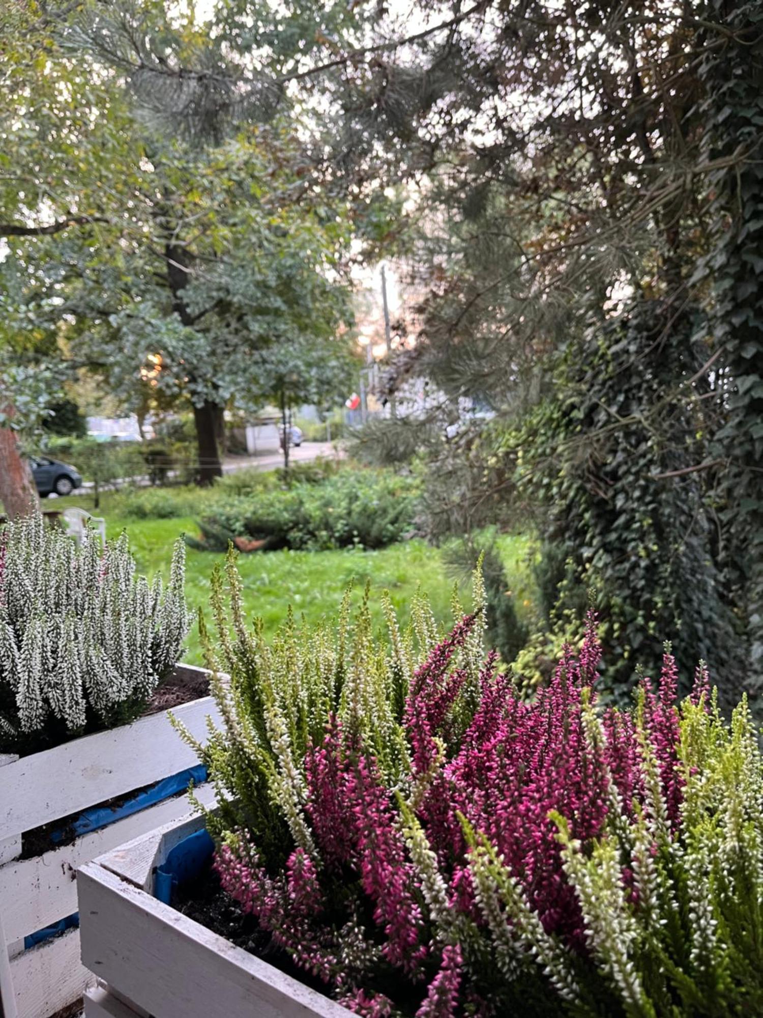 Greenthumb Praska Krakau Exterior foto